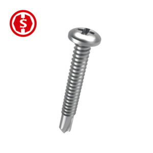 Stainless steel screws